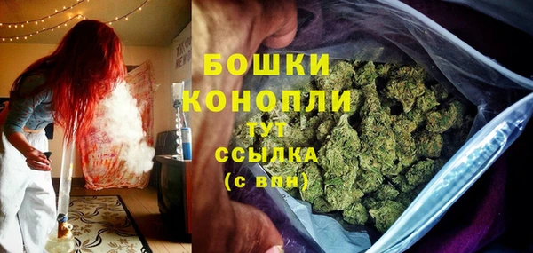 spice Аркадак