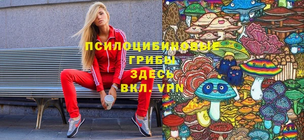 спайс Карпинск